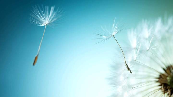 Création de terrasse Martinique